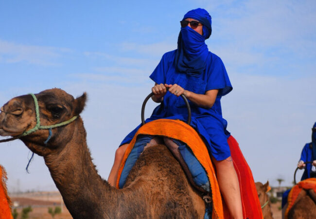 Camel Riding in the Palm Trees and Desert of Marrakech